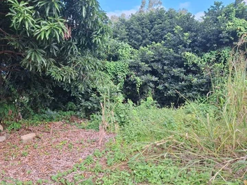 Agricultural Land