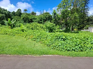 Residential Land