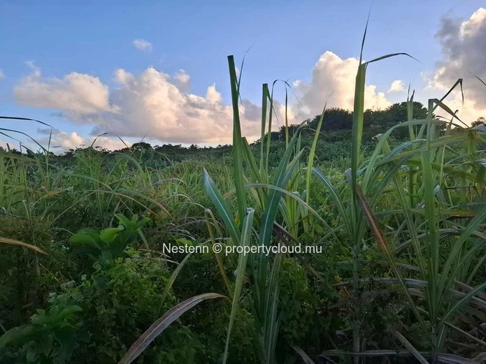 Terrain agricole de 4558,68 m² .