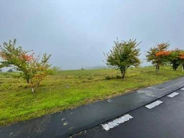 Residential Land