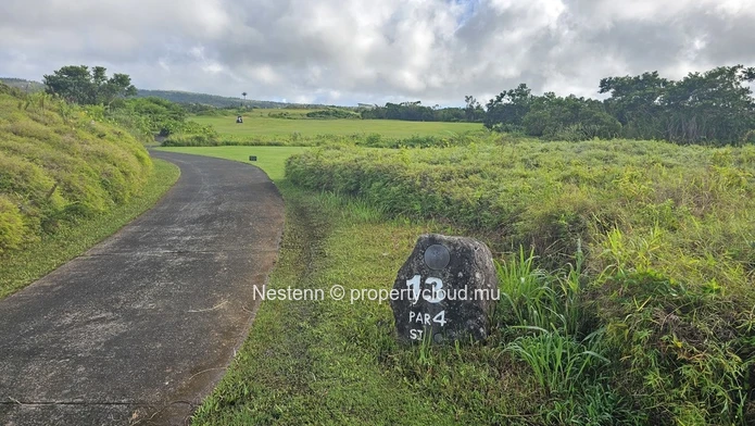 Spectacular 4,600 m² residential corner plot 