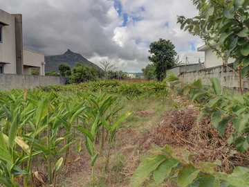 Residential Land