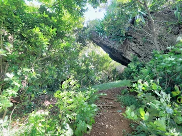Residential Land