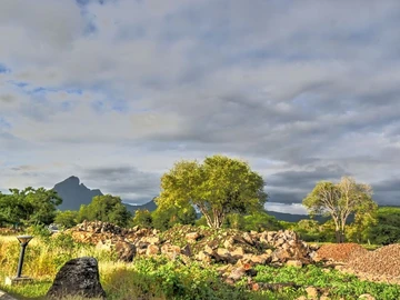 Residential Land