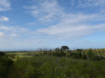 Agricultural Land