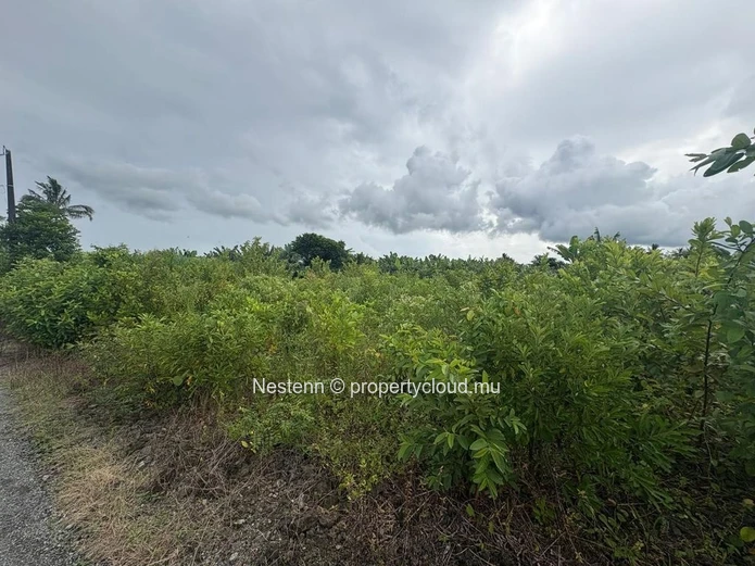 Spacious 2,242.36m² residential land 