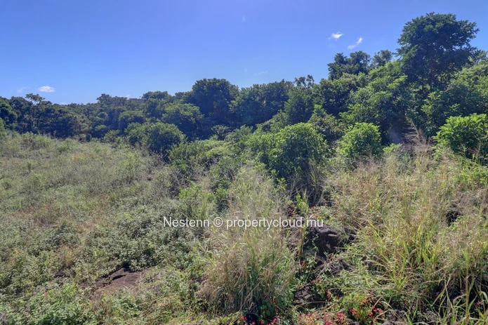 Agricultural land of 52 perches