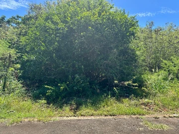 Residential Land