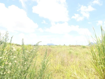 Residential Land