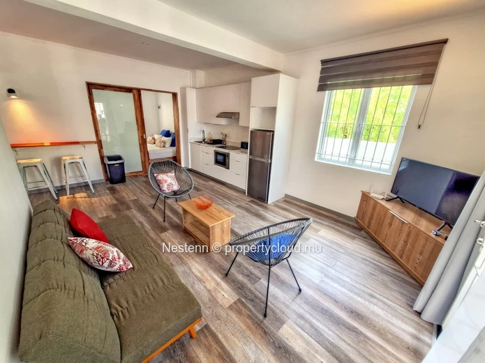 Fully operational short-term rental business 