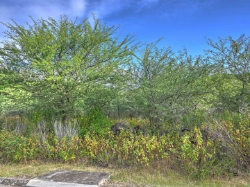 Residential Land