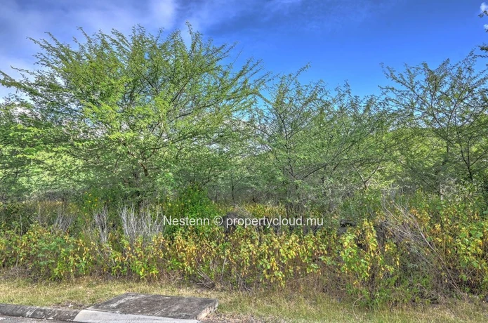 Terrain d'exception de 2 167,66 m² 
