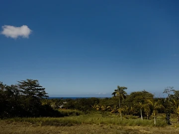 Terrain Résidentiel