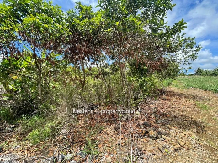 Residential plot of land of 1506.52m²