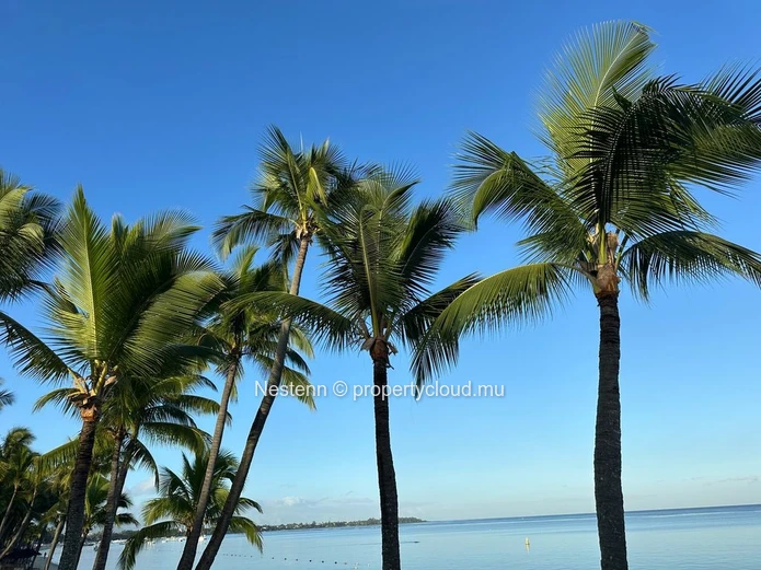 Terrain résidentiel de 711 m² au Domaine Harmony – votre havre de paix vous attend.