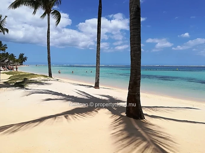 Land of 35,981 m2 with breathtaking views of the entire wild South, ideal for a real estate project.