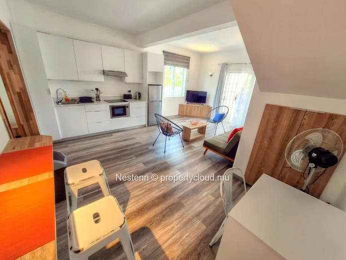 Fully operational short-term rental business 