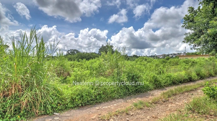 Terrain de 351m2
