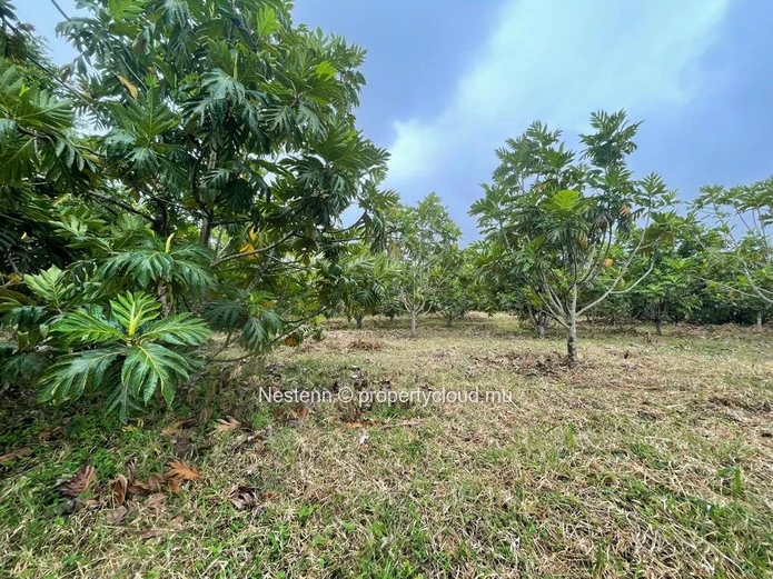Agricultural plot of land of 103.2 Perches/4,357.92 m² 