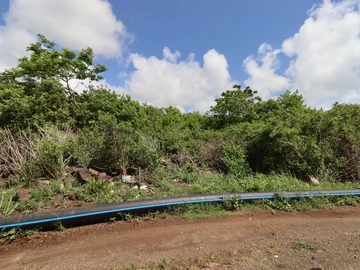 Agricultural Land