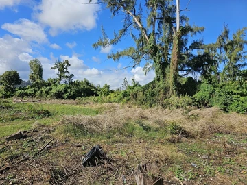 Residential Land