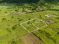 Agricultural Land