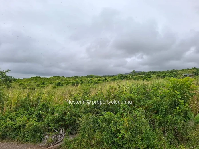 Agricultural land of 12,491.13 m², ideally located in the peaceful and green surroundings 