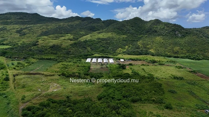 Agricultural land of 12,491.13 m², ideally located in the peaceful and green surroundings 