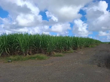 Agricultural Land