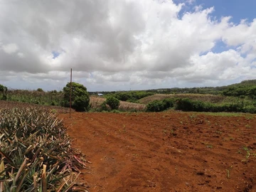 Residential Land