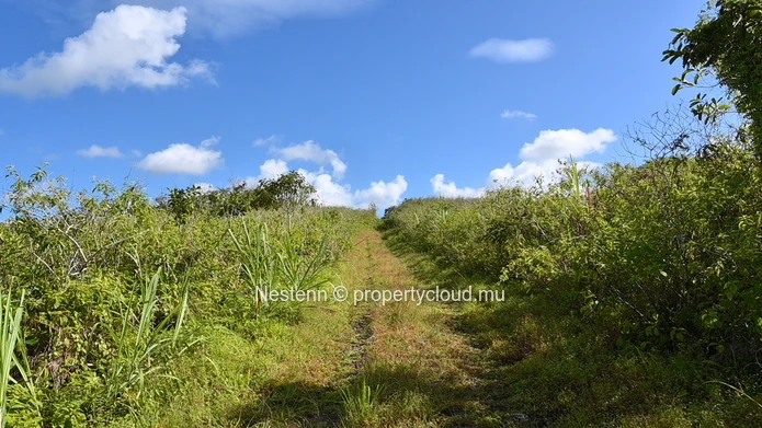 Terrain agricole de 14225m²