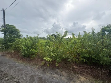 Residential Land