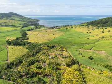 Residential Land