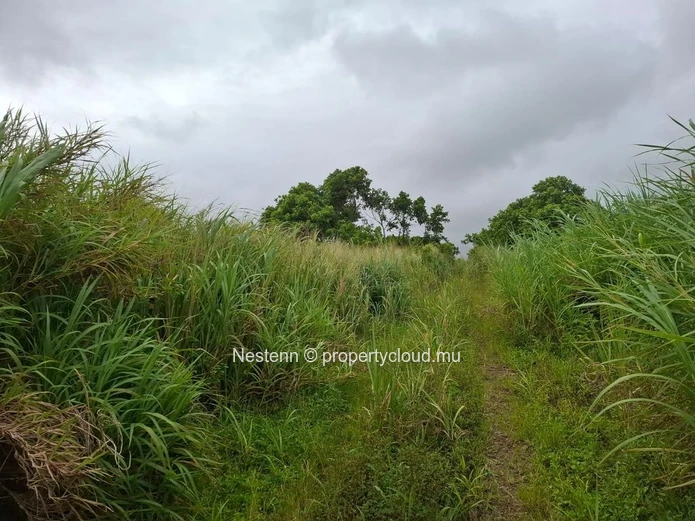 Agricultural land of 12,491.13 m², ideally located in the peaceful and green surroundings 