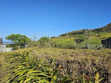 Residential Land