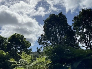 Residential Land