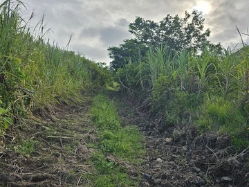 Agricultural Land