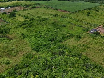 Agricultural Land