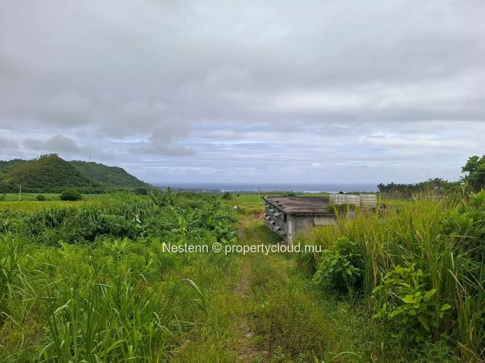 Agricultural land of 12,491.13 m², ideally located in the peaceful and green surroundings 
