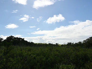 Agricultural Land