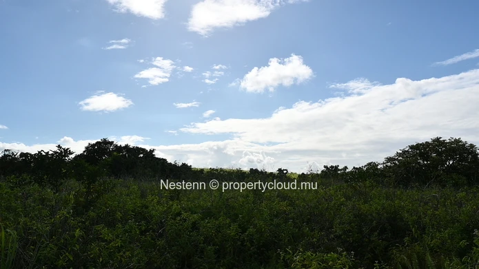 Agricultural land of 12,664 m² 
