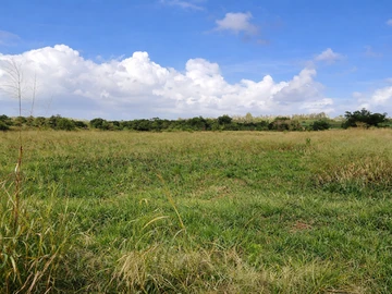 Agricultural Land