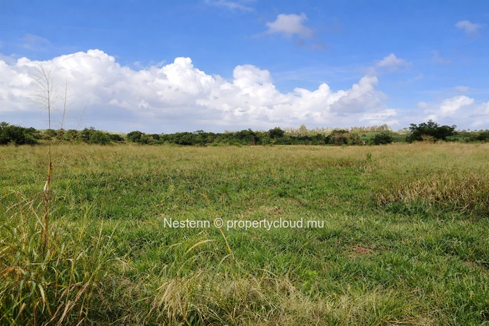 Terrain agricole de 11 107 m² (263 perches)