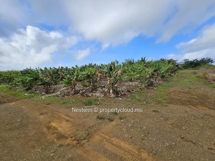 Terrain agricole de 8 146.10m² 