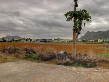 Residential Land