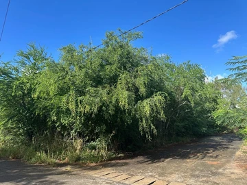 Residential Land