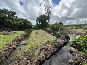 Agricultural Land