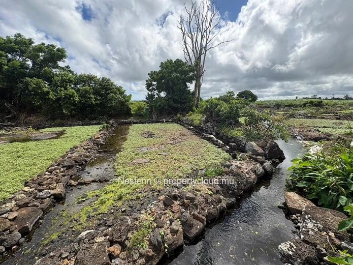 30 perches well-maintained and well situated agricultural land 