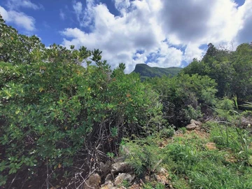Residential Land