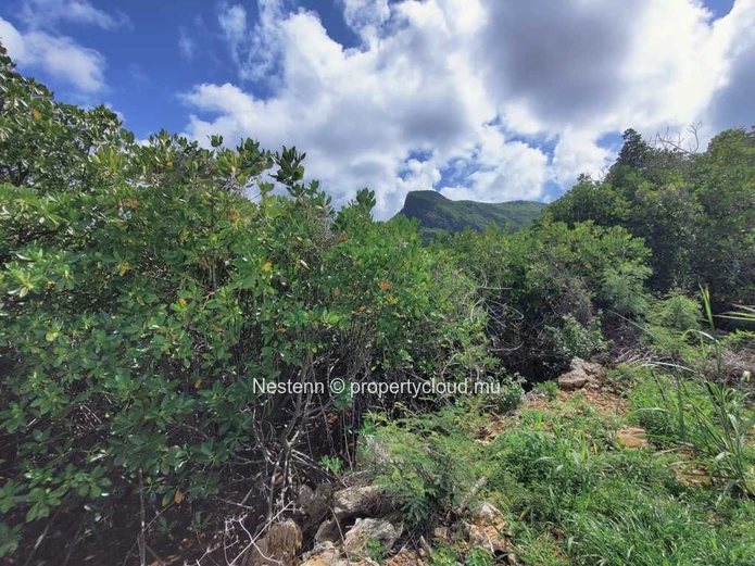 Magnifique terrain de 14 984 m² avec vue imprenable sur la baie de Ferney, la montagne du Lion, la Falaise Rouge et l...